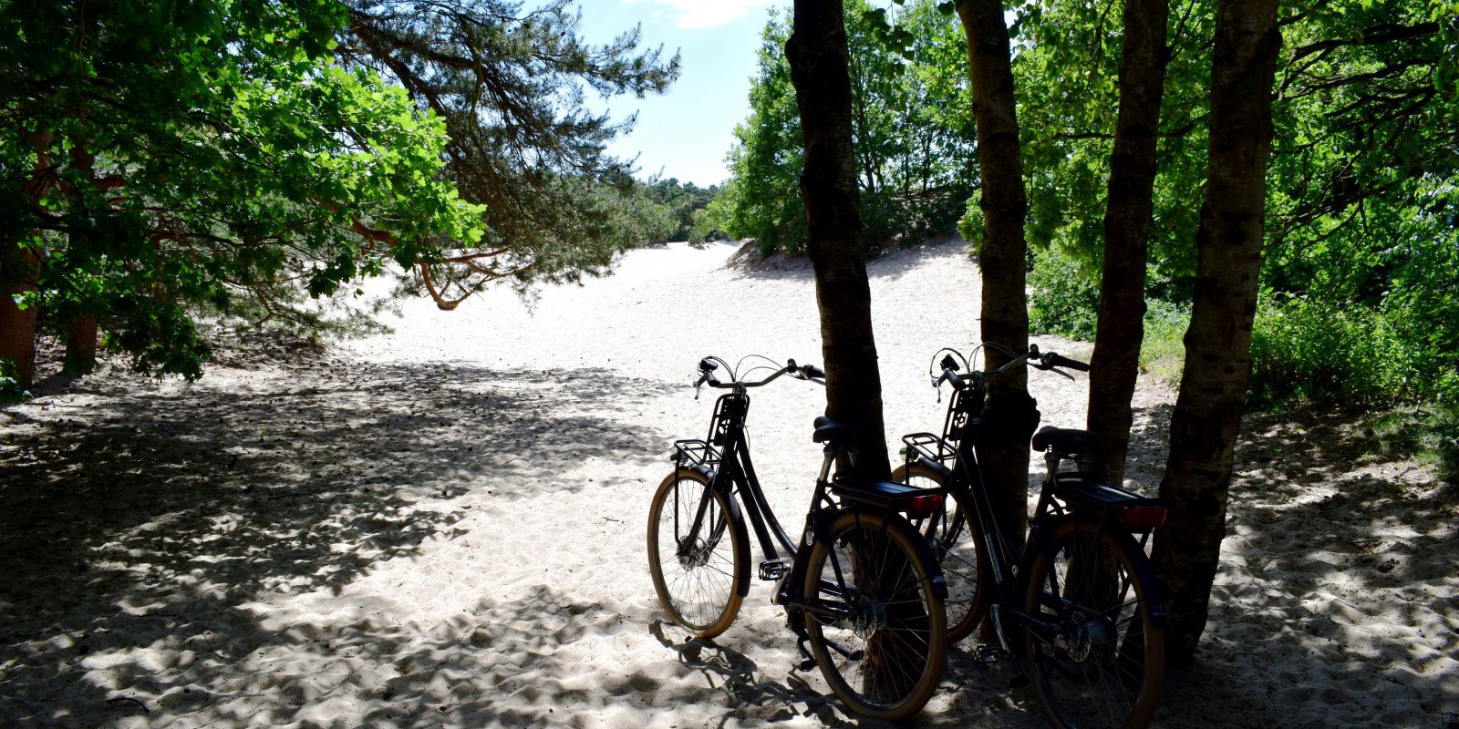 Mooie fietsroutes op de Utrechtse Heuvelrug