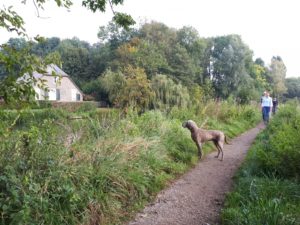 Aanleg Wandelroutenetwerk Kromme Rijnstreek 