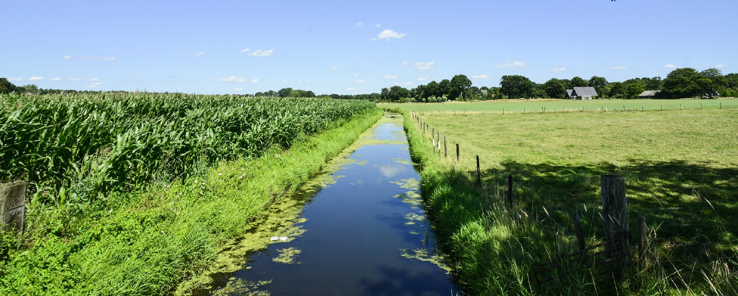 Help mee bij behoud en beheer