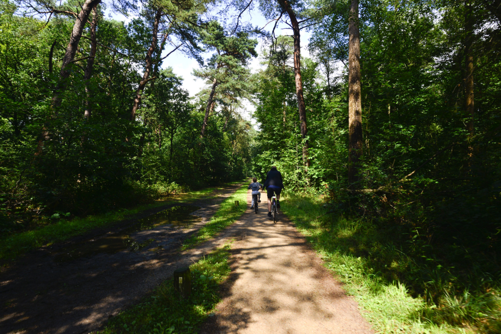 investeren in groen