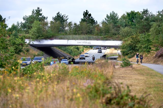 Foto van ecoduct Treekerwissel